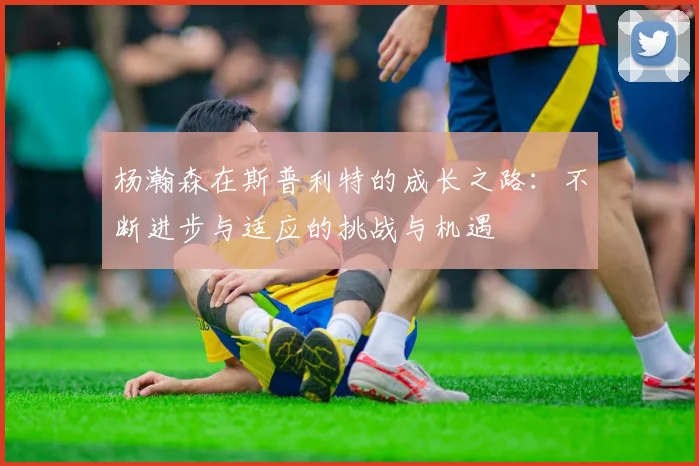 杨瀚森在斯普利特的成长之路：不断进步与适应的挑战与机遇