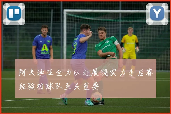 阿夫迪亚全力以赴展现实力季后赛经验对球队至关重要